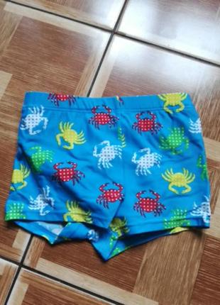 Плавки шортики с подгузником для бассейна отдыха