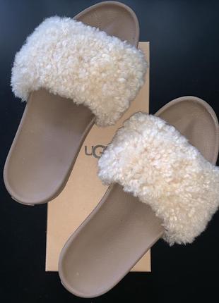 Меховые шлёпанцы ugg royale1 фото