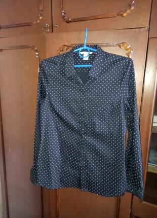 Блузка в горох