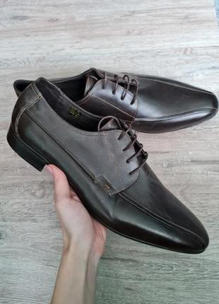 Туфлі чоловічі броги шкіра andre