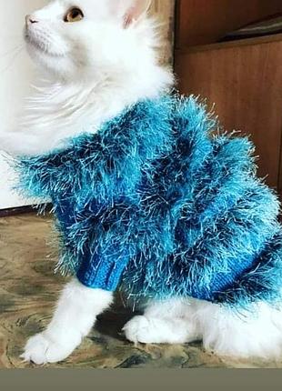 Одяг для тварин