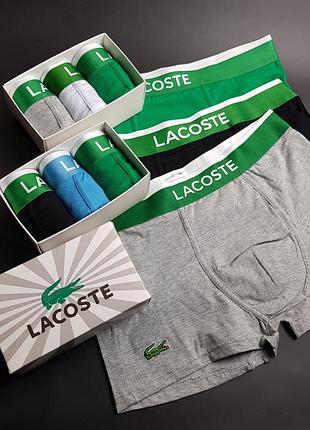 Трусы lacoste