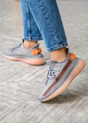 Кросiвки adidas yeezy boost 350 true form