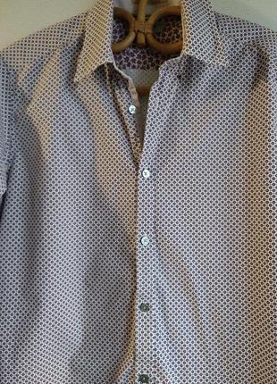 Стильна чоловіча сорочка ted baker 8