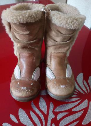 Чоботи зайчика для милої зайчика (устілка 15, 5)