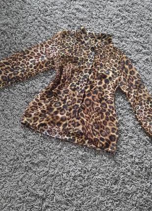 Блузка в леопардовый принт1 фото