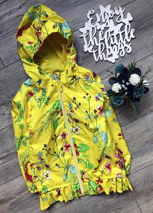 Вітровка фірми некст