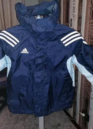 Дощовик adidas