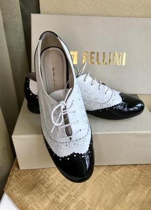 Броги / оксфорды / туфли итальянского бренда fellini1 фото