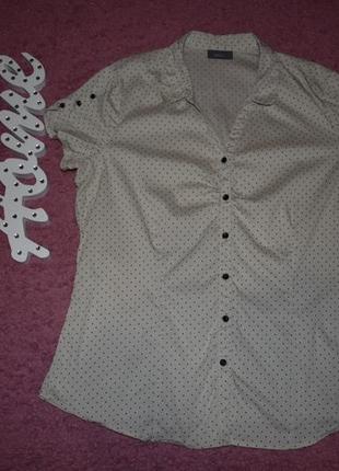Рубашка с коротким рукавом в горох блузка2 фото
