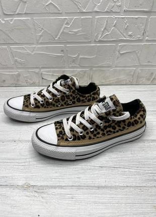 Леопардовые кеды converse