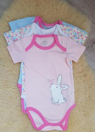 Набір боді літні пісочник