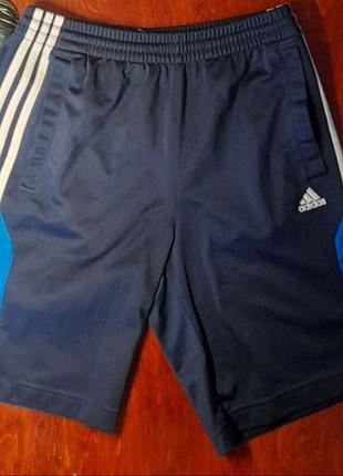 Шорти adidas оригінальні