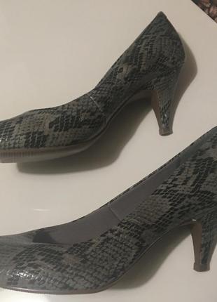 Актуальні туфлі зміїний принт2 фото