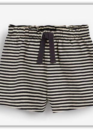 Шорті next