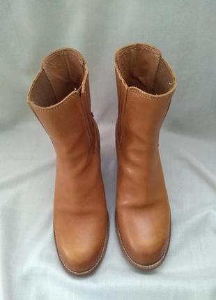 Очень крутые, высокие ботинки челси !!