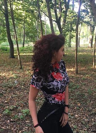 Сіточка