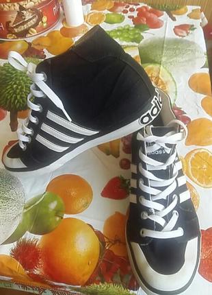 Фирменные кеды adidas .