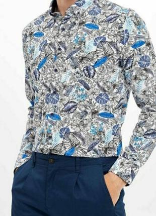 Чоловіча сорочка з принтом