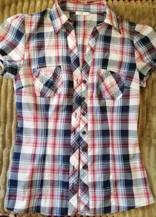 Сорочка в клітку, з коротким рукавом