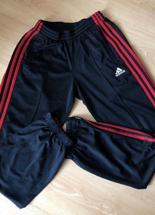 Спортивні штани adidas