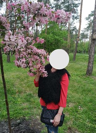 Жилетка