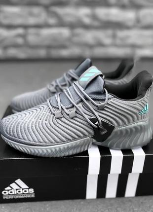 Кроссовки adidas alphabounce instinct