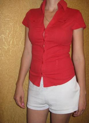 Котоновая рубашечка