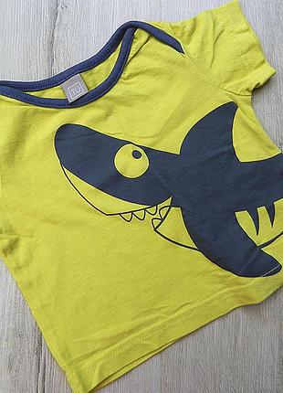 Футболка з акулою