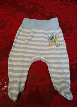Ползунки для новорожденного