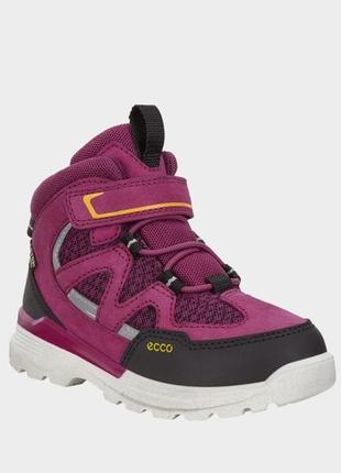 Кожаные ботинки ecco urban hiker pink gore-tex2 фото