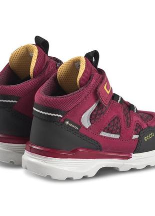 Кожаные ботинки ecco urban hiker pink gore-tex4 фото