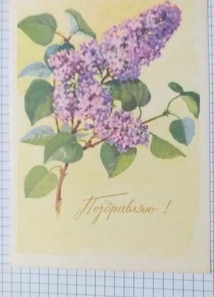 Открытка. 1965 год. чистая. винтаж