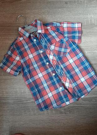 Рубашка, шведка с коротким рукавом