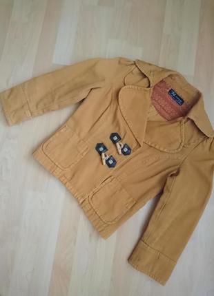 Пиджак,куртка,джинсовка1 фото