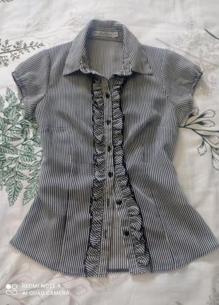 Шифоновая блуза рубашка1 фото