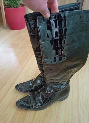 Весняні чобітки