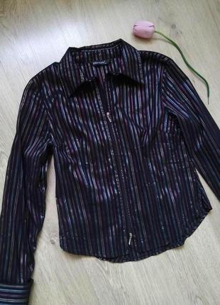 Стильная полосатая блуза с длинным рукавом/рубашка на молнии/хлопок
