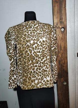 Тренд рукава блуза boohoo petite принт леопард гепард фонарики