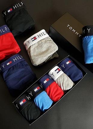 Трусы tommy chiaro hilfiger