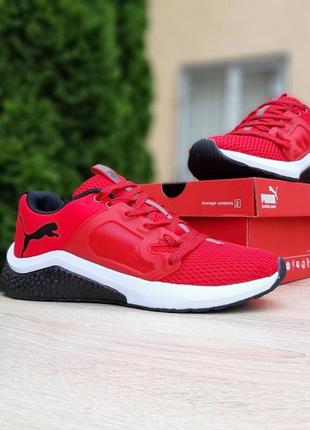 Нереальні чоловічі кросівки puma hybrid racer червоні