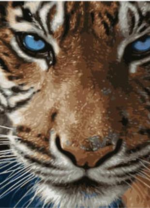 Картина за номерами тигр блакитноокий нік2 фото