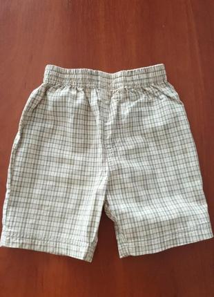 Шорті