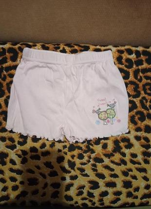 Шорті