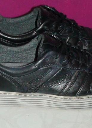 Camel active - кожаные кроссовки, кеды