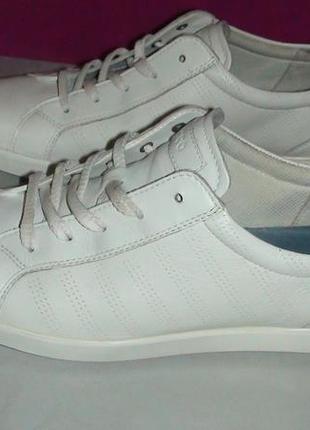 Ecco - шкіряні кросівки, кеди