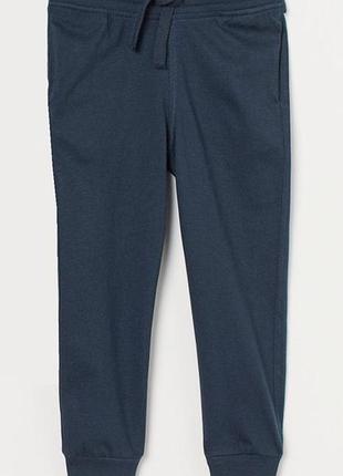 Спортивные штаны джоггеры хлопковые трикотажные для мальчика h&m 0738873-014 116 см (5-6 years)