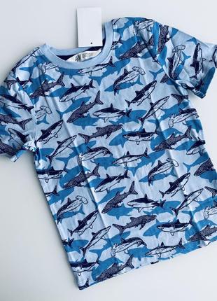 H&m футболка з акулами на 2-4 рочки