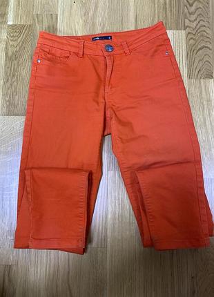 Яскраві штани