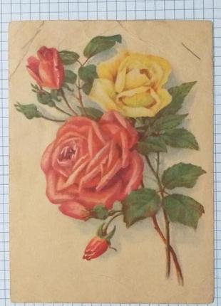 Открытка.-1955- раритет. чистая